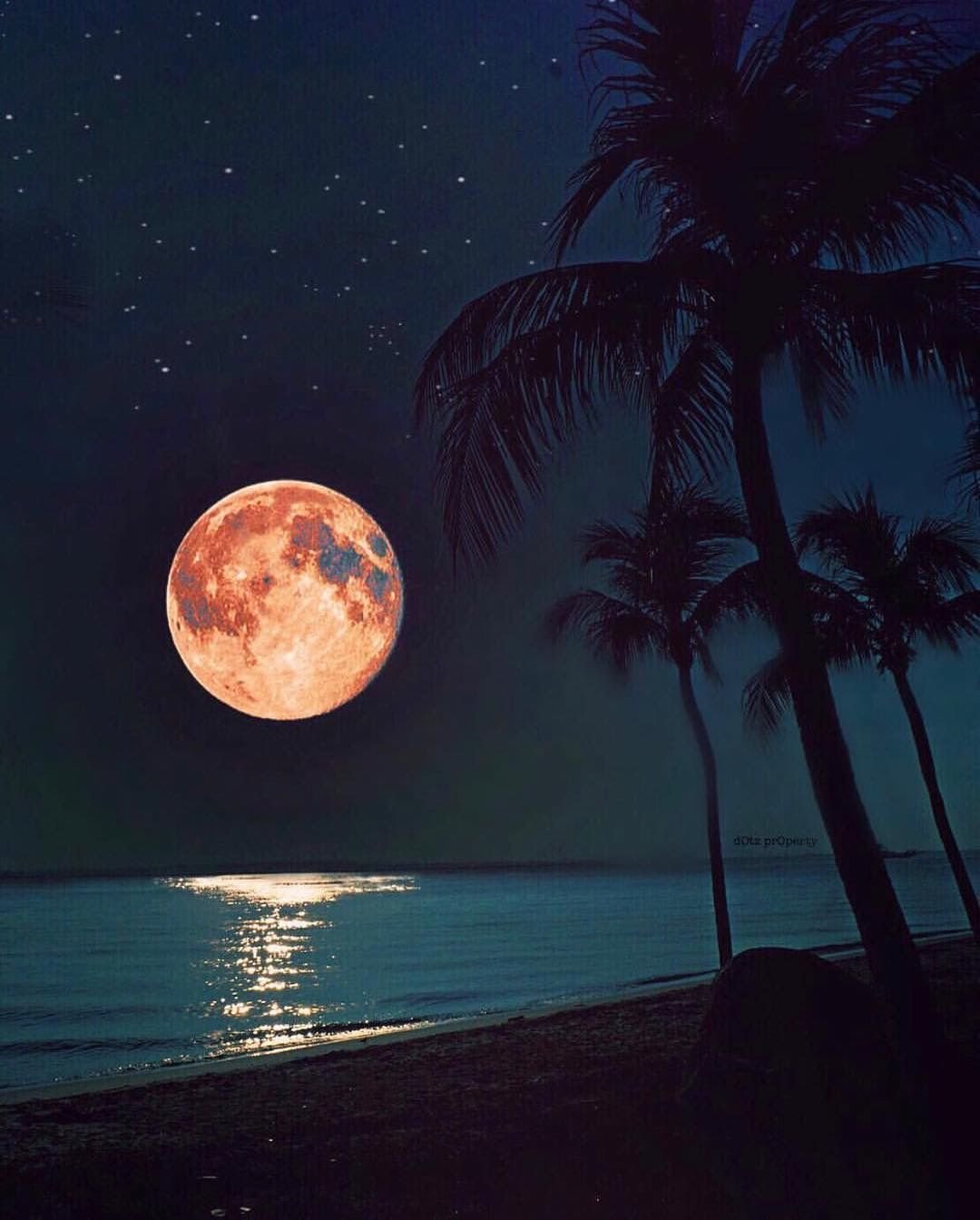 Луна и море