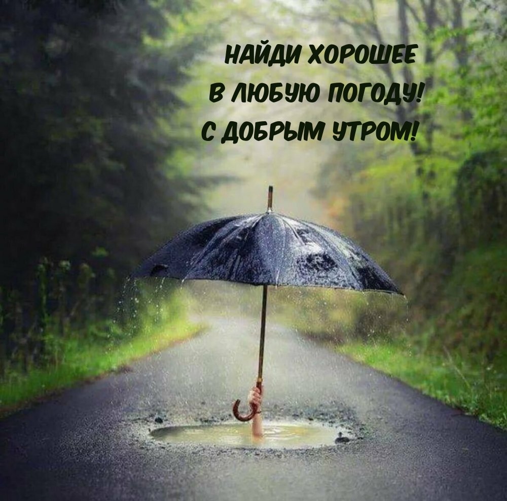 Зонт под дождем