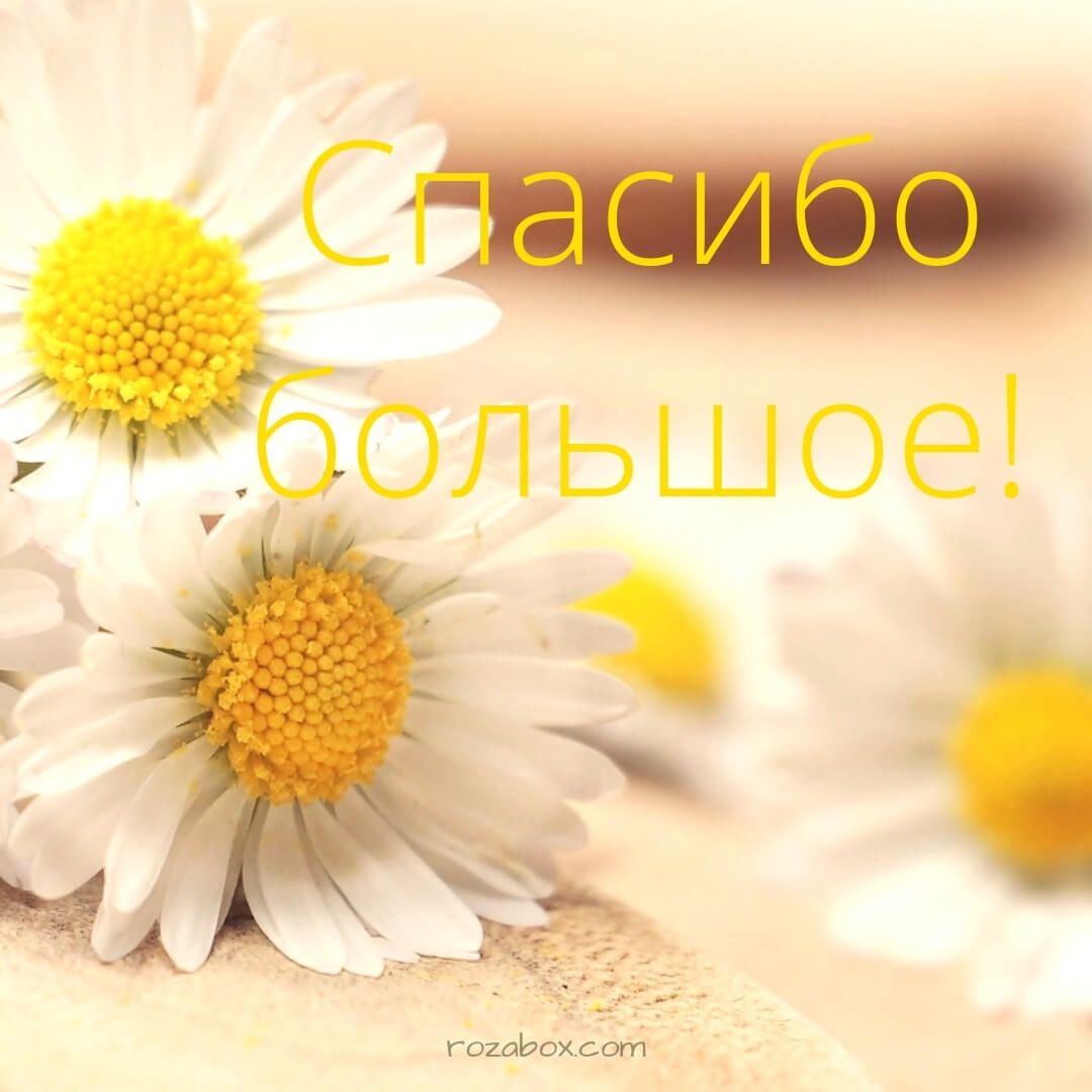 Открытка спасибо родителям