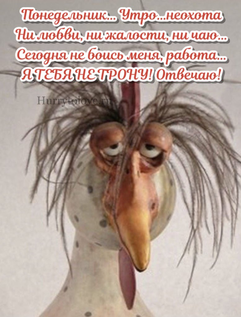 Утро понедельника смешные