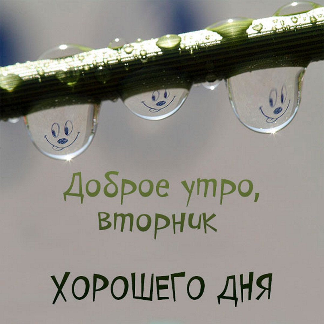 С добрым утром вторника прикольные