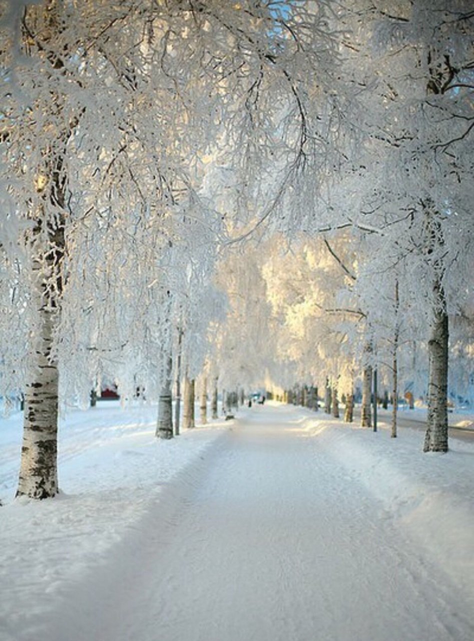 Снежная зима