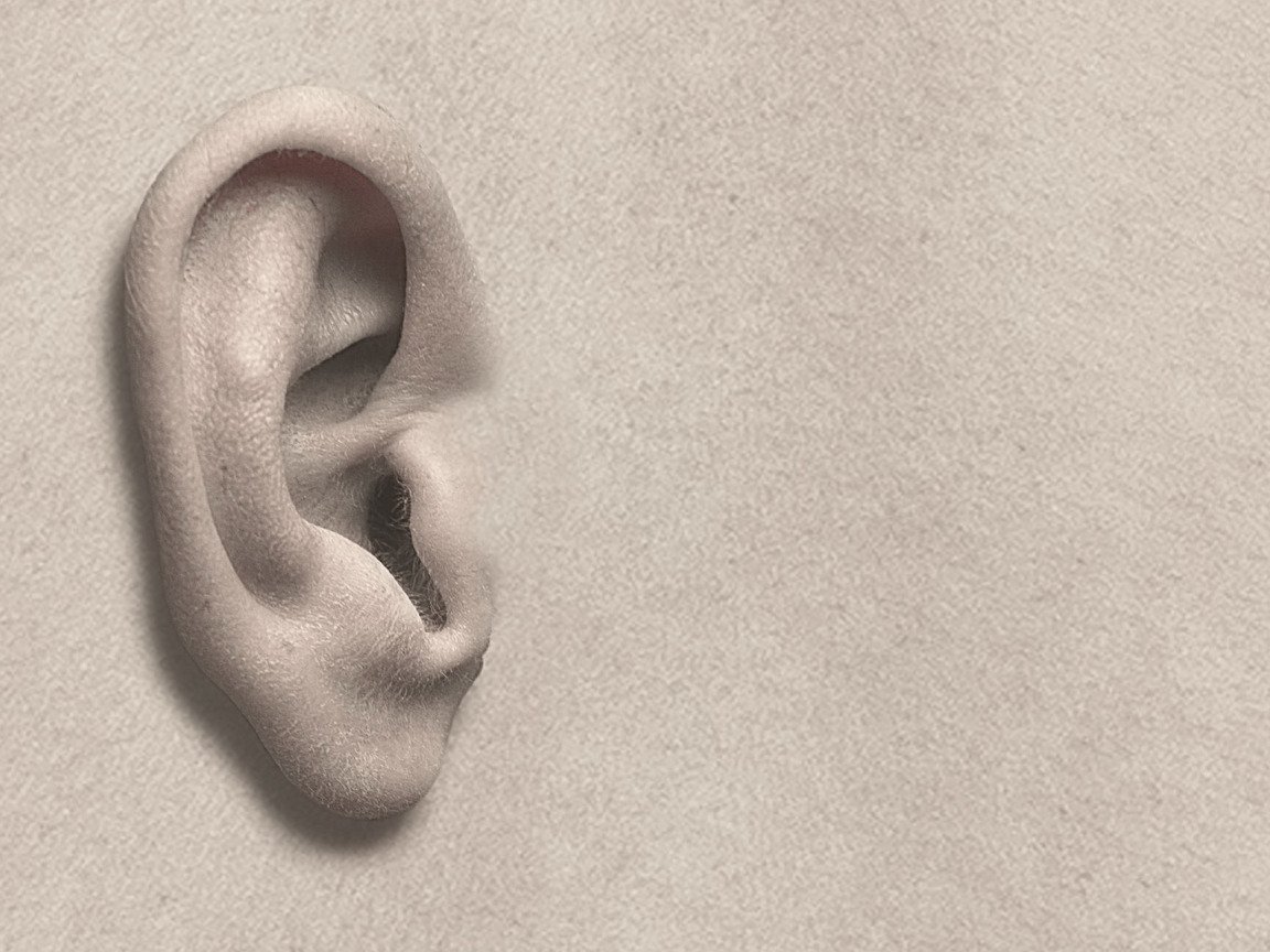 Большое ухо картинки