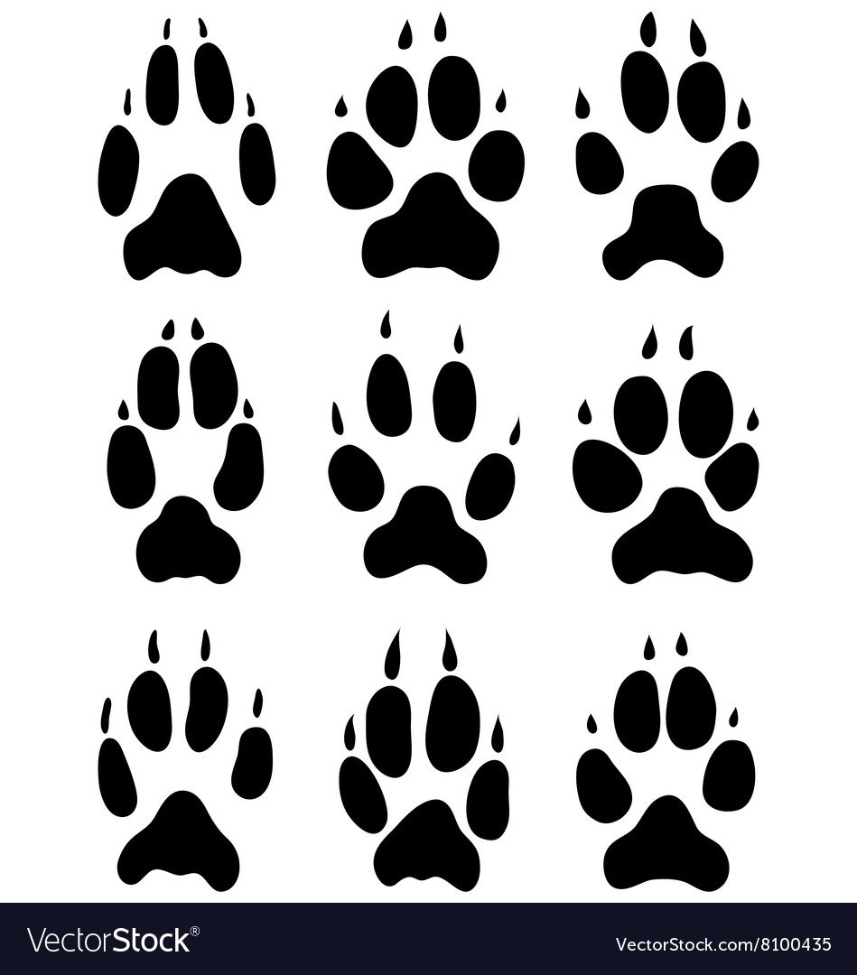 Следы лисы для детей