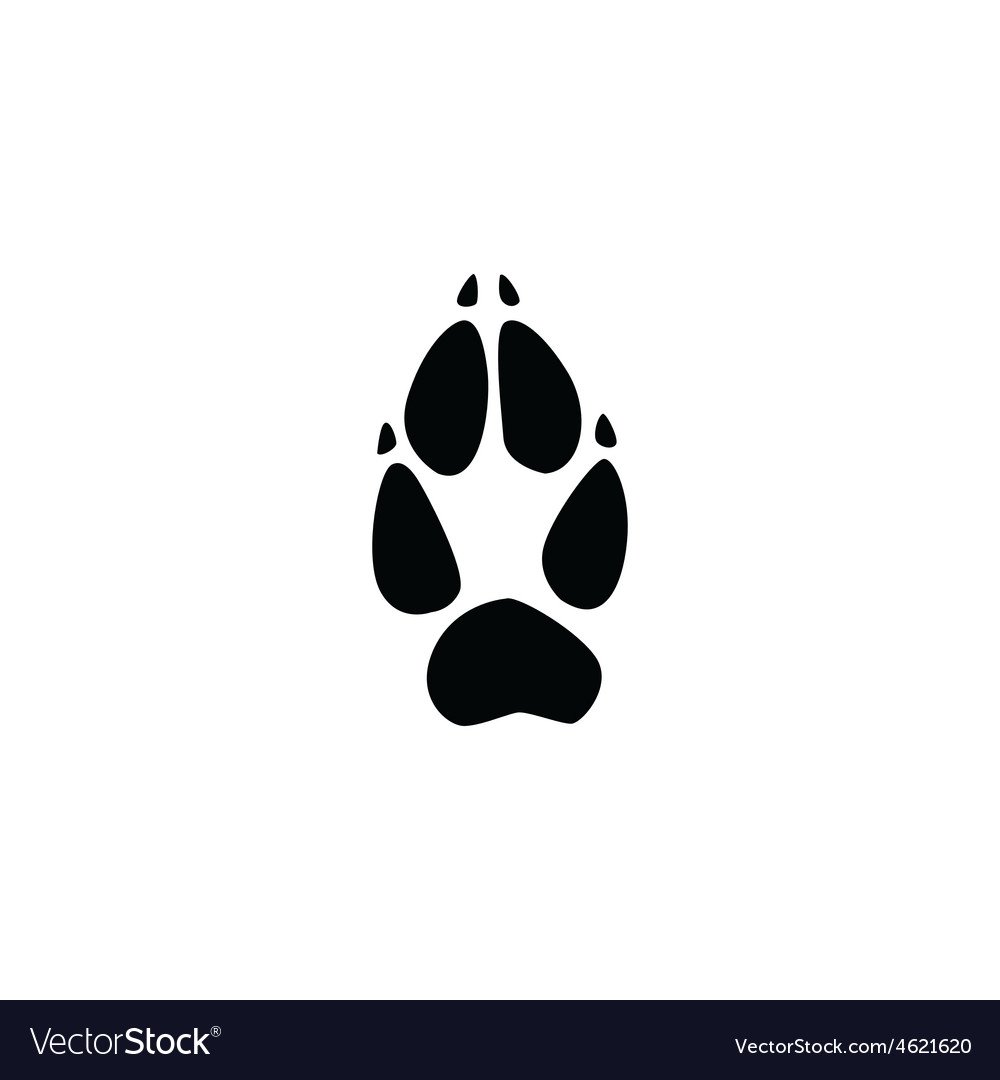 Лисьи следы для детей