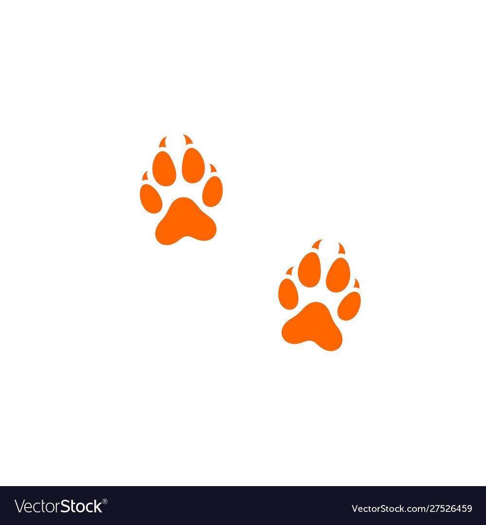 Следы лисы на прозрачном фоне