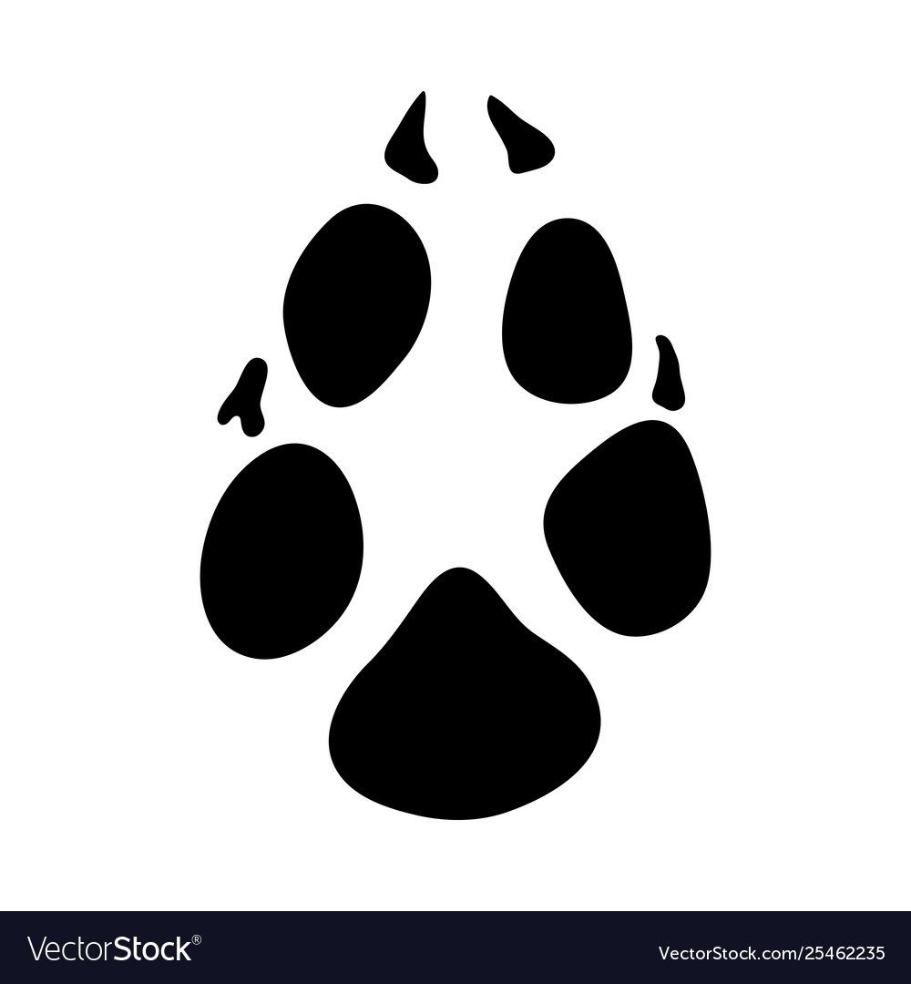 Следы лисы трафарет