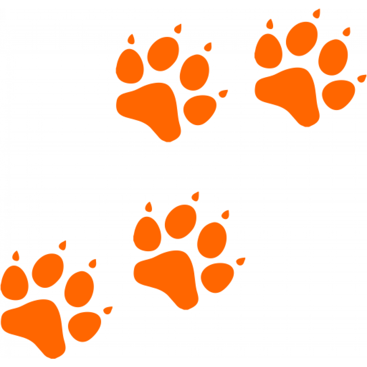 Лапка кота след