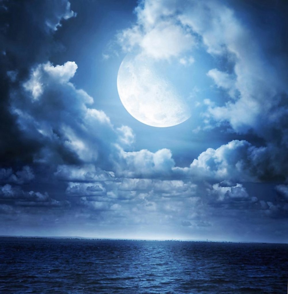 Лунная ночь