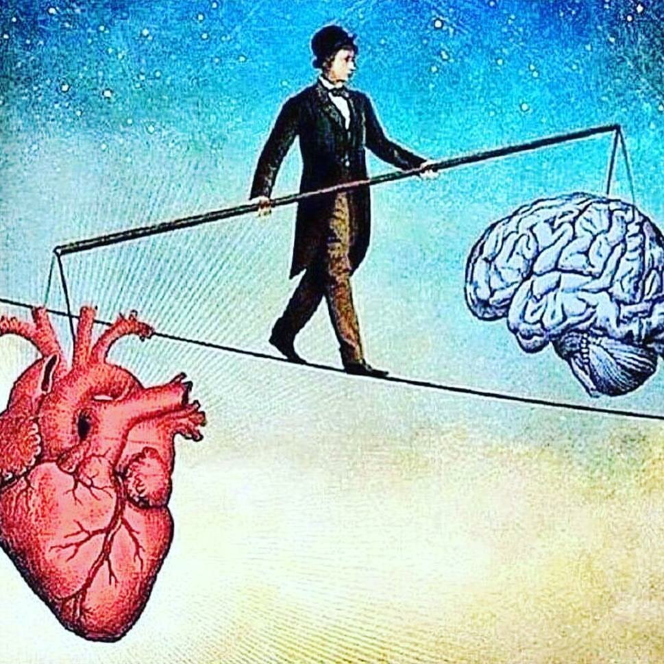 Мозг и сердце