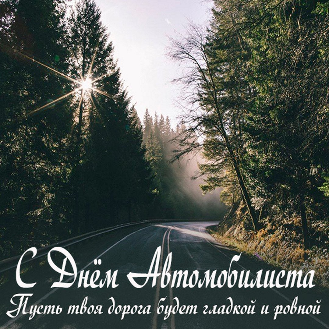 С днём автомобилиста прикольные