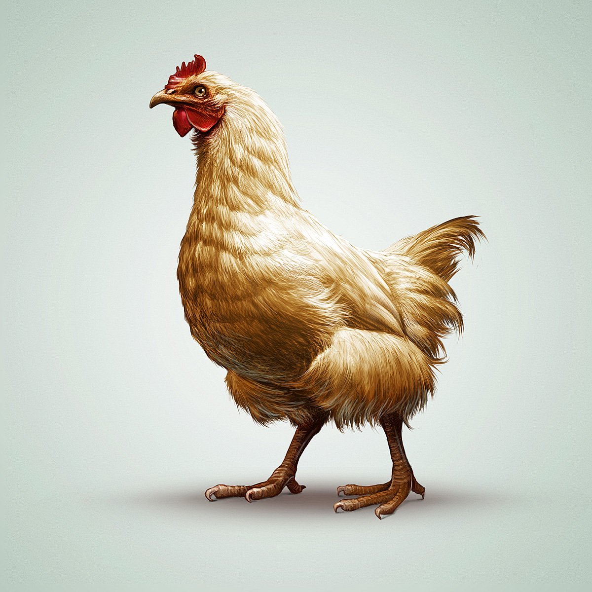 Курочка арт