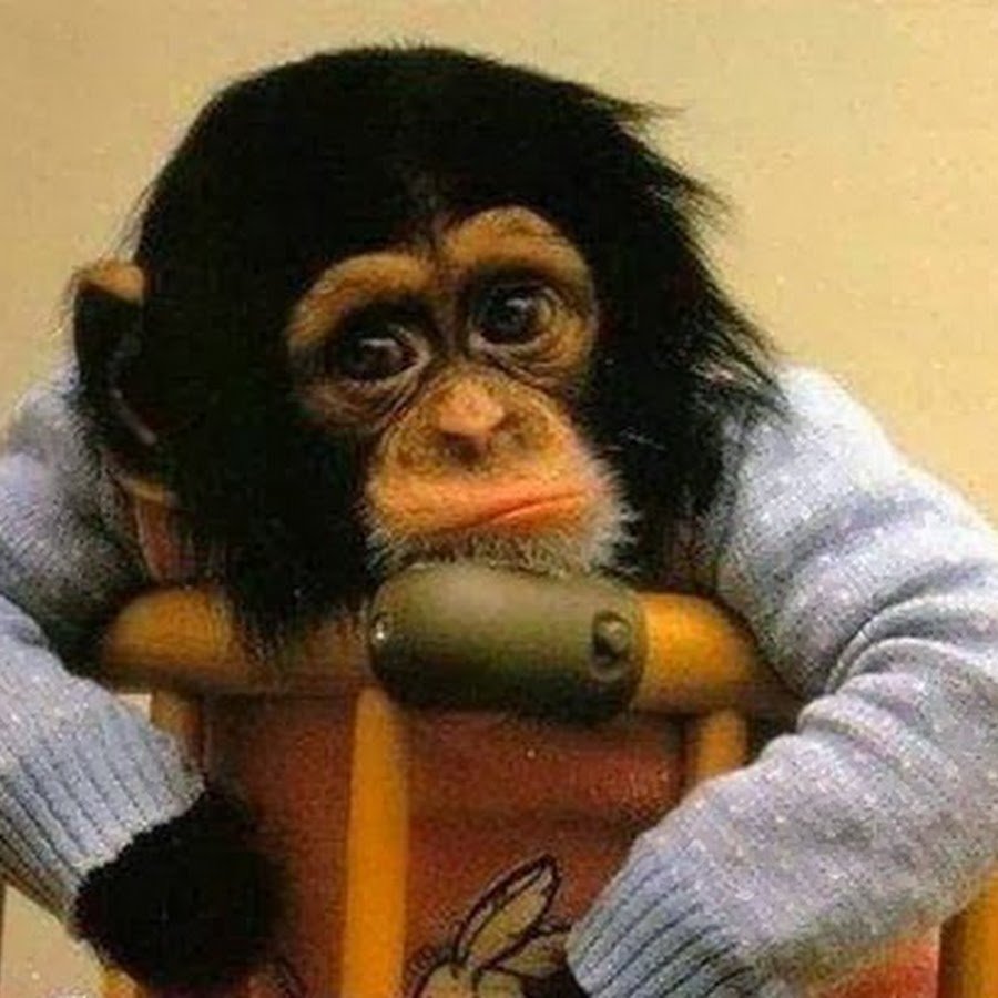 Работать не прет