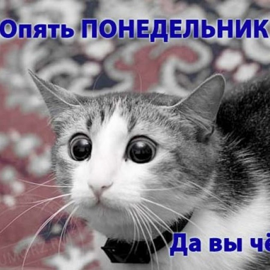 Опять понедельник