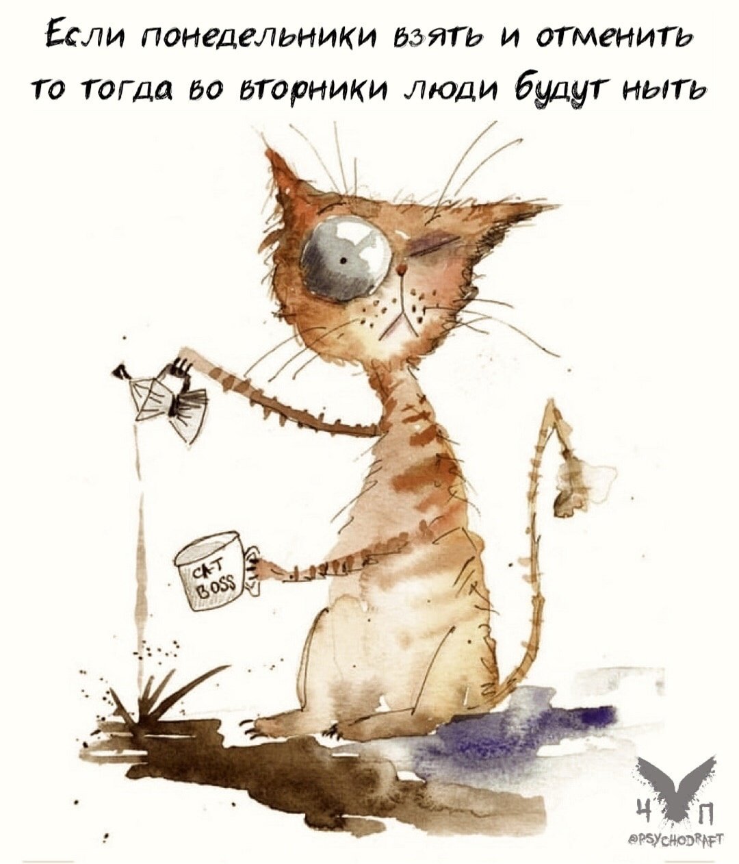 Коты понедельник