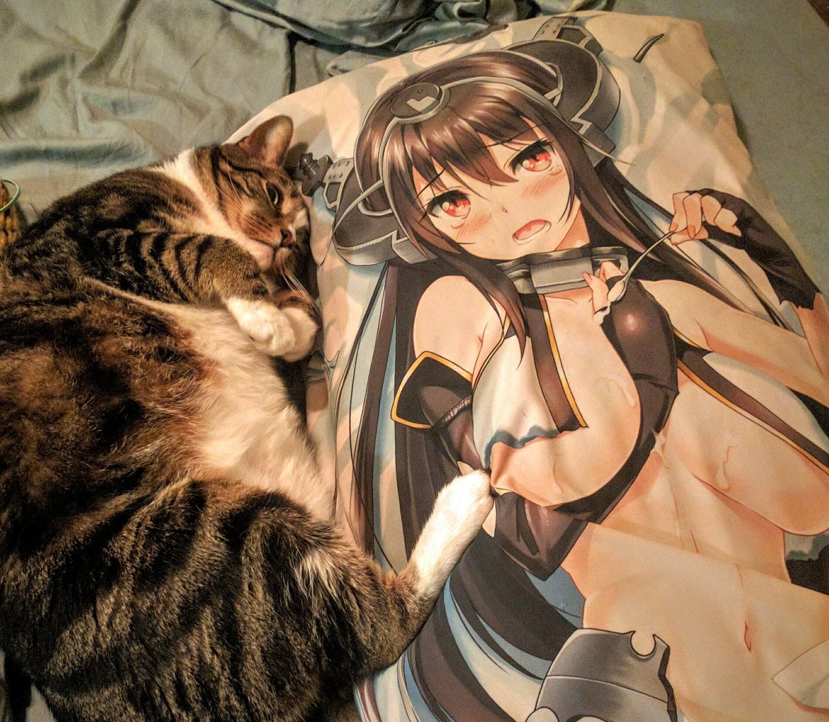 Беременная кошечка аниме