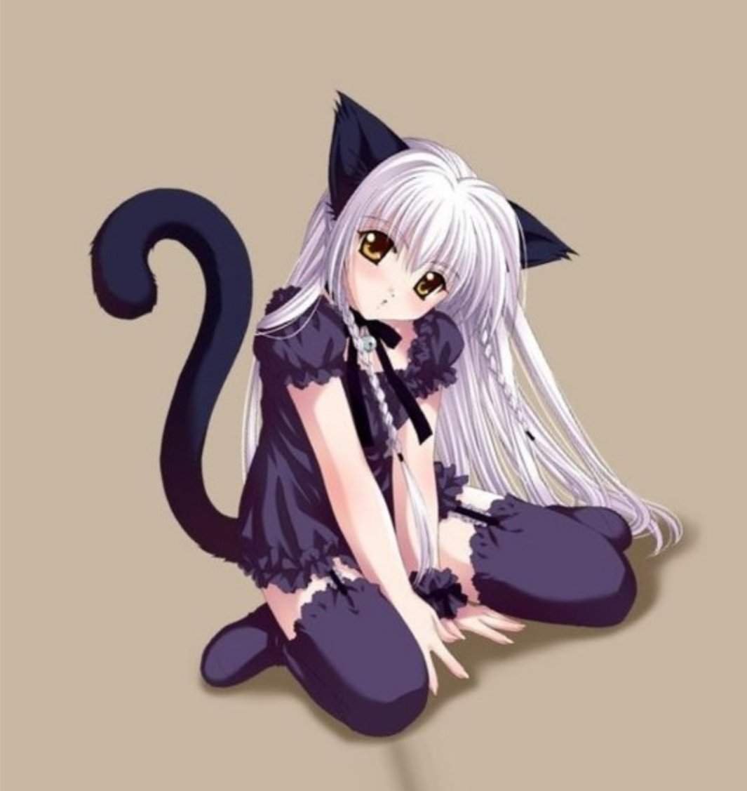 Кошка девочка