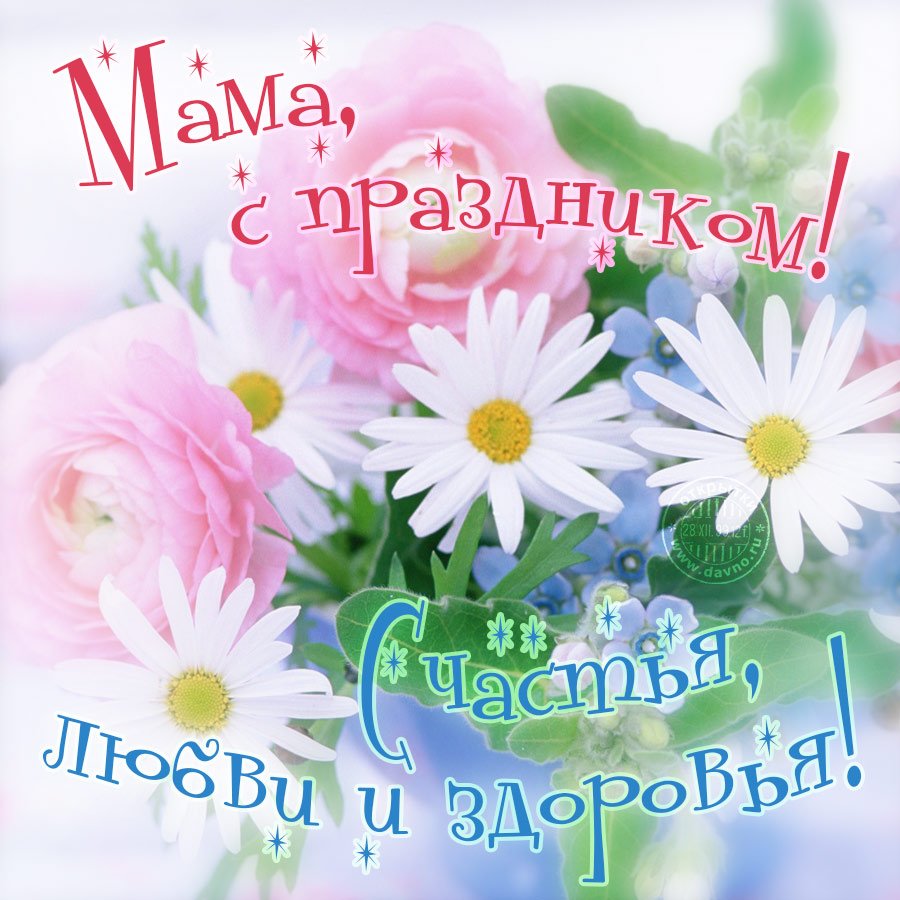 Поздравления с днём рождения Екатерине красивые