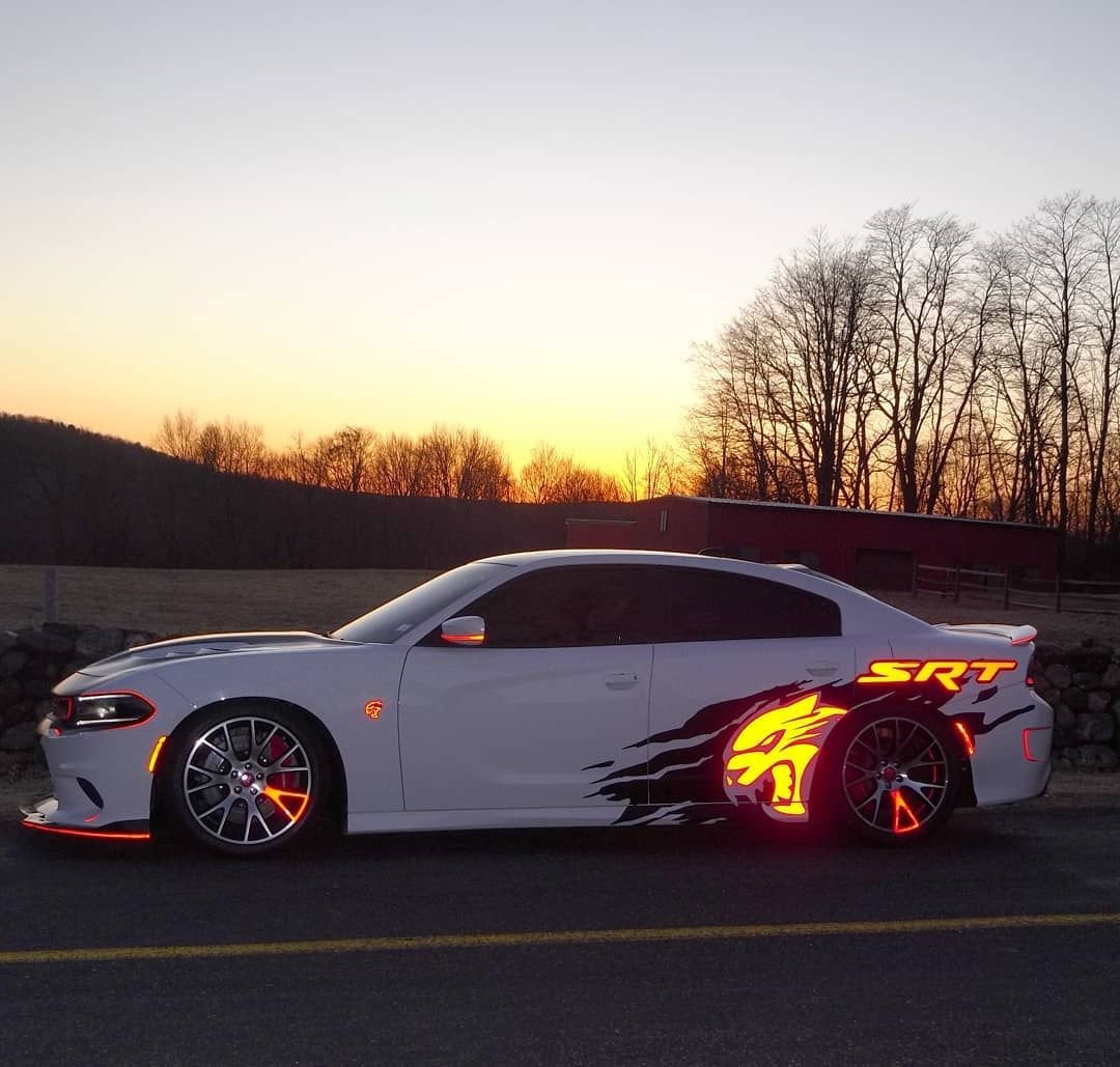 Лексус сохры красивые