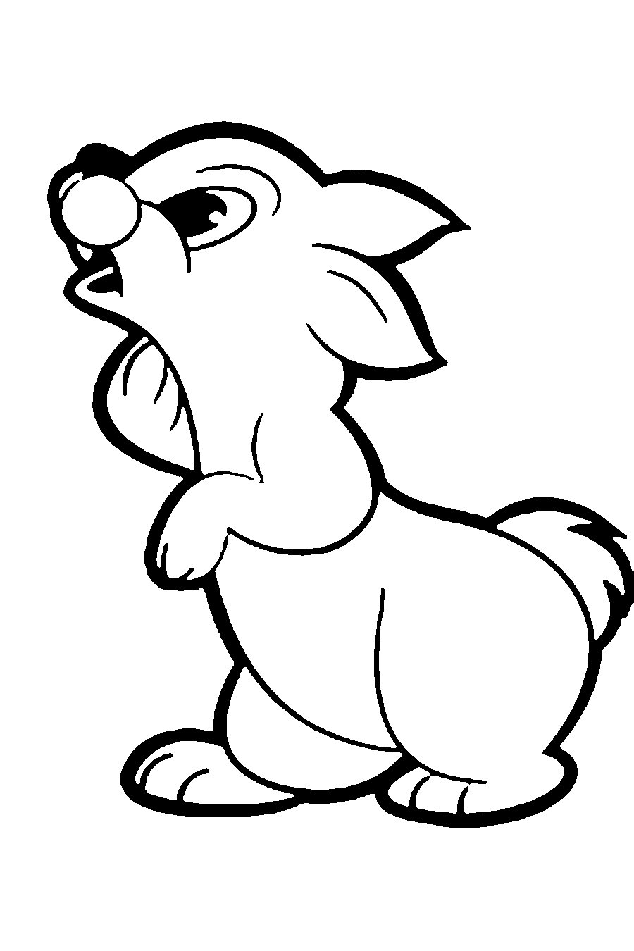 Контуры животных