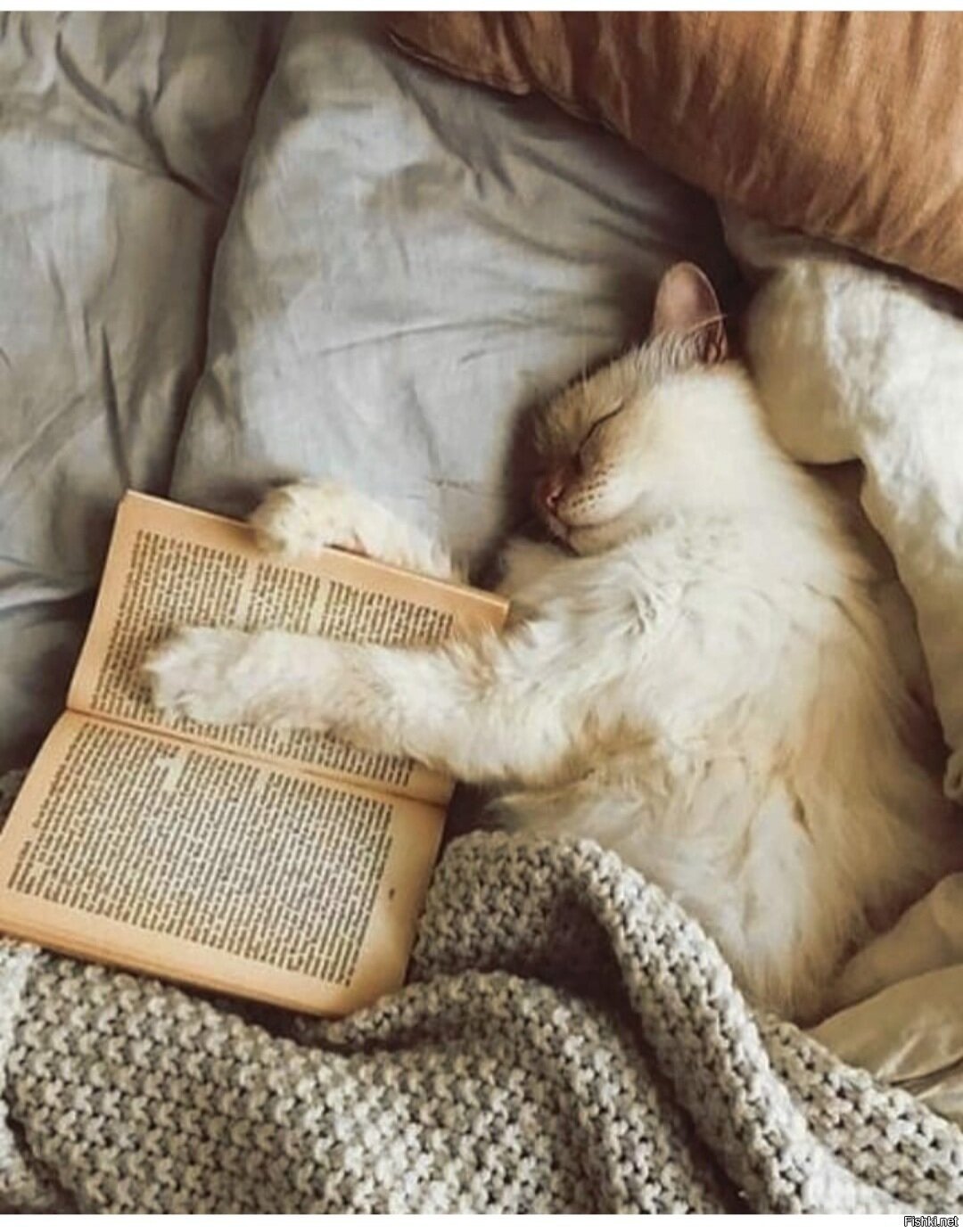 Влюбленные у камина