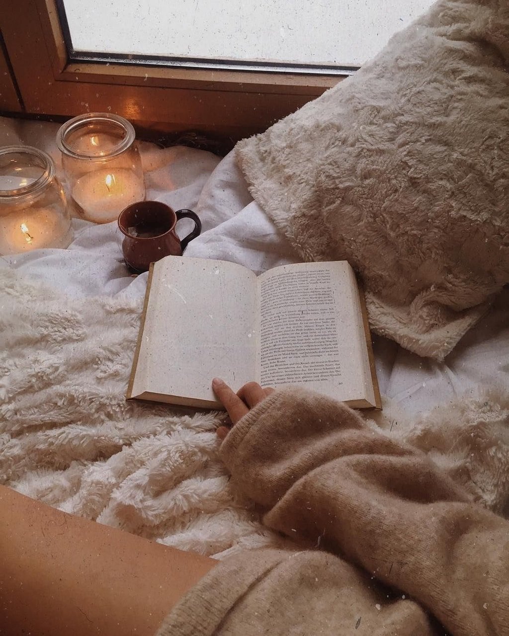 Уютный котик