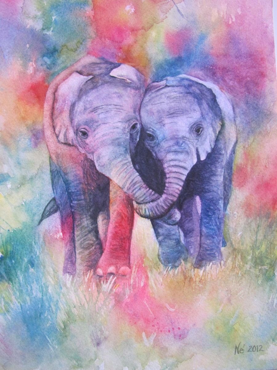Слоны любовь