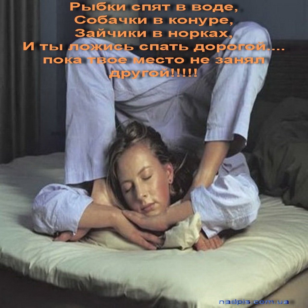 Спокойной ночи прикольные