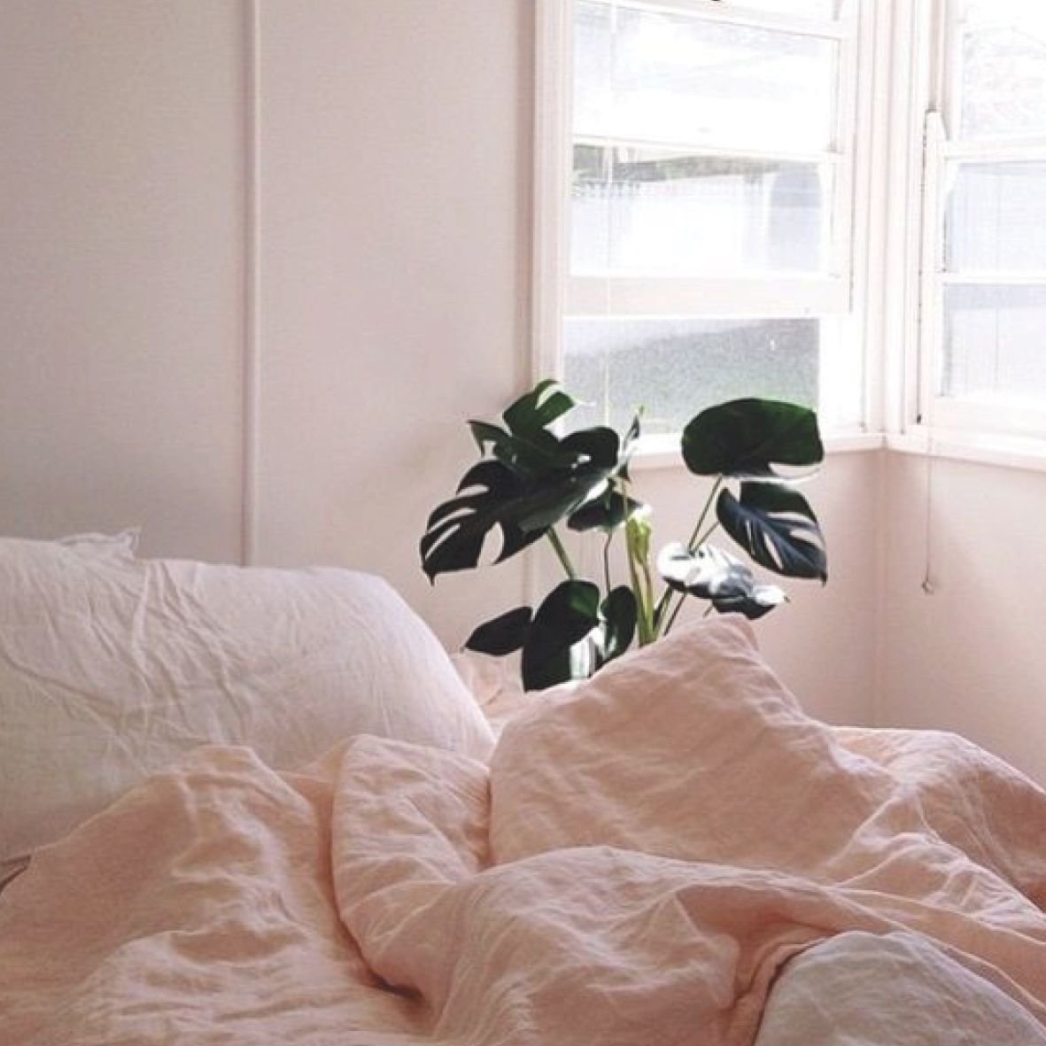 Цветы на белой кровати