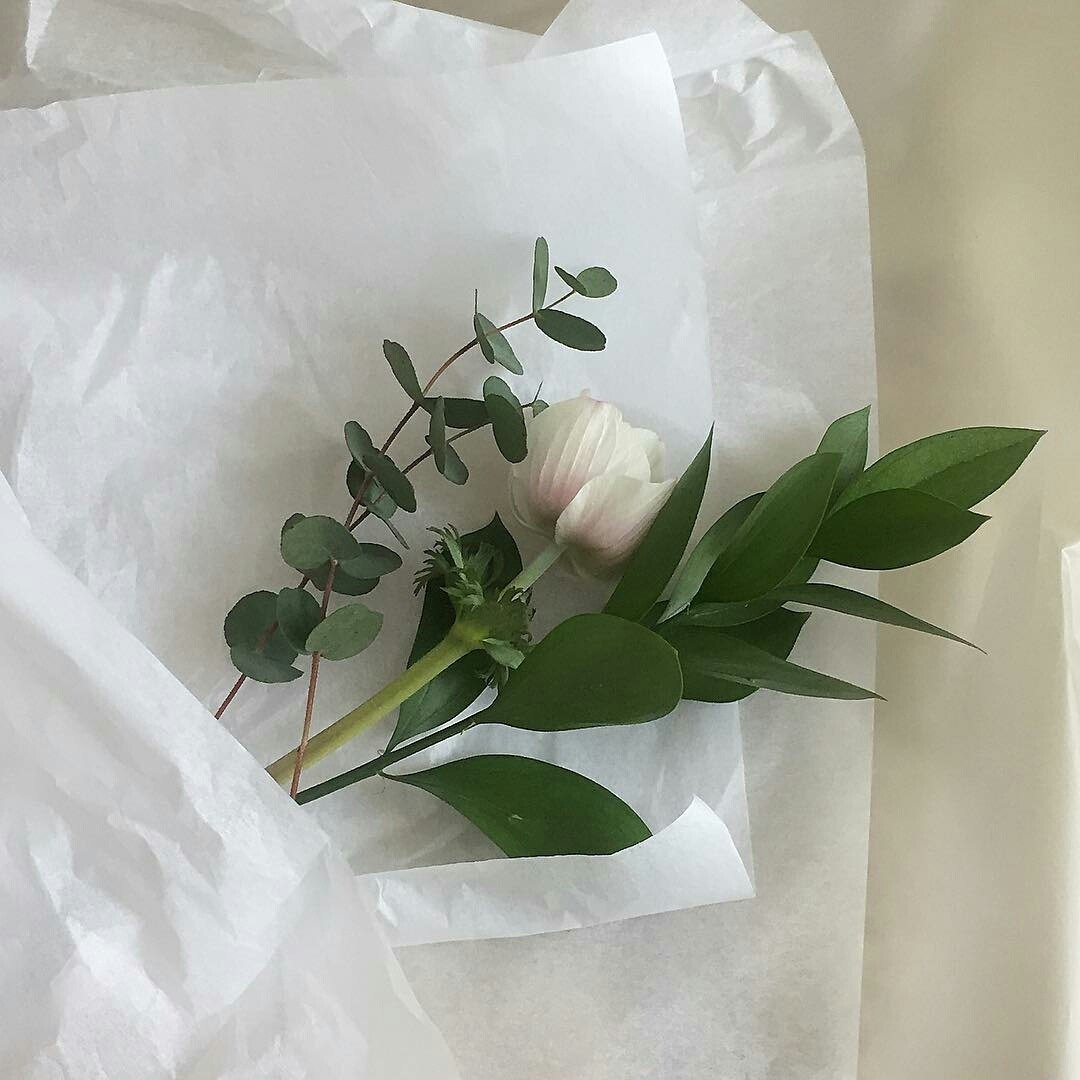 Эстетика тумблер