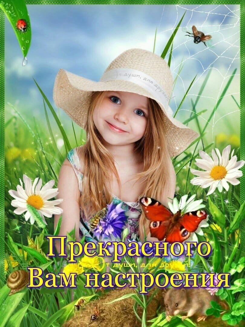 Летнее настроение