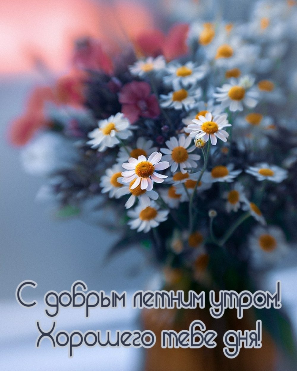 Доброе утро лето