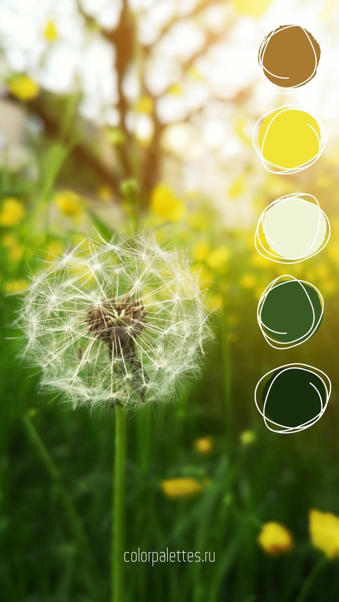 Доброе летнее утро