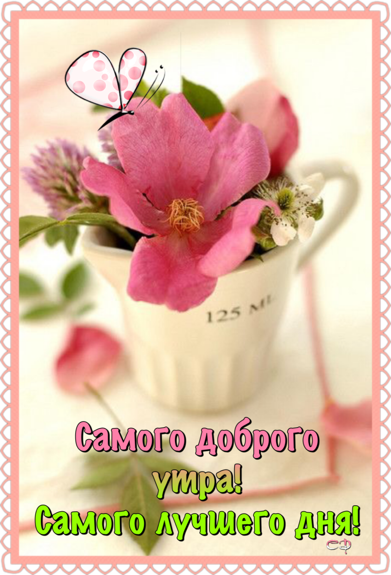 Добрые нежные пожелания