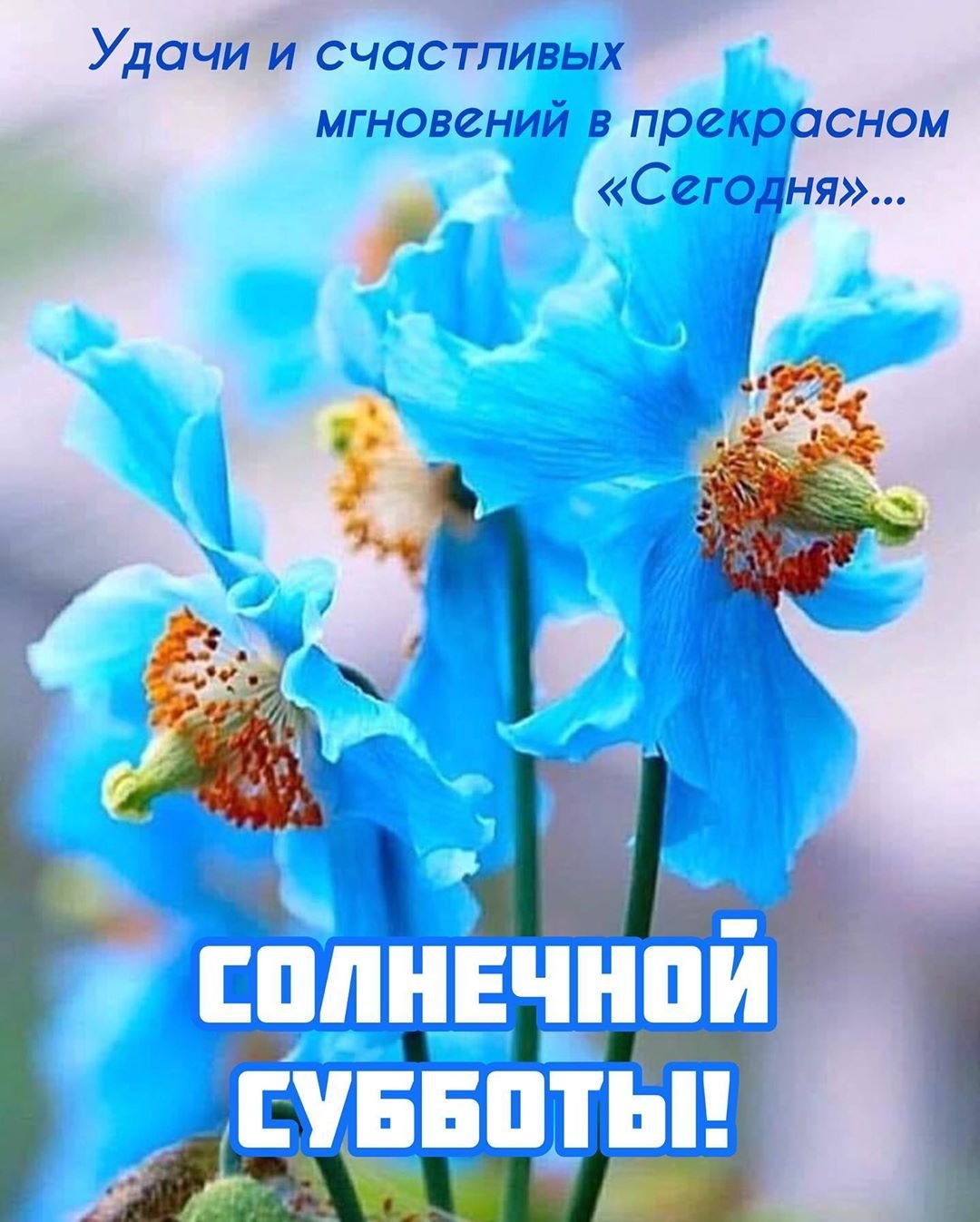 Счастливых мгновений пожелания