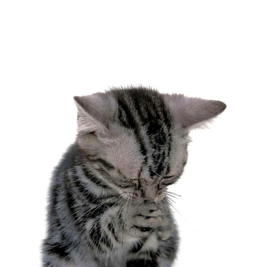 Прощенное воскресенье поздравления