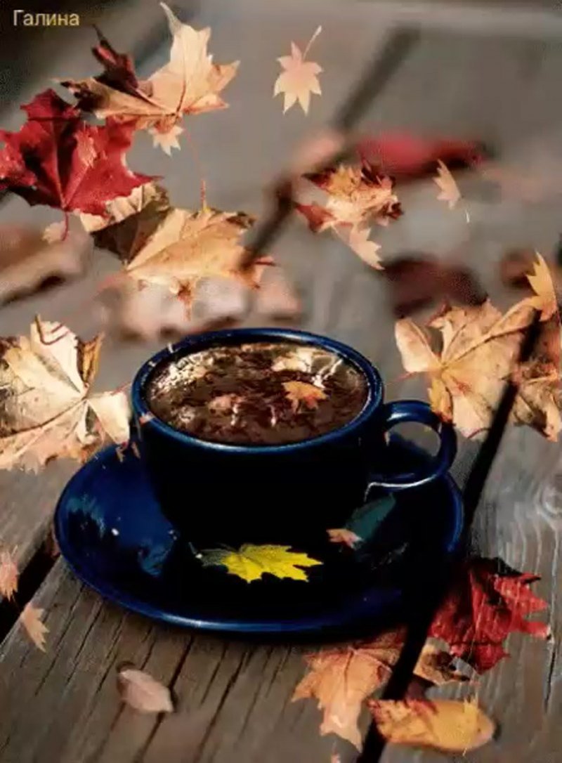 Осеннее утро субботы