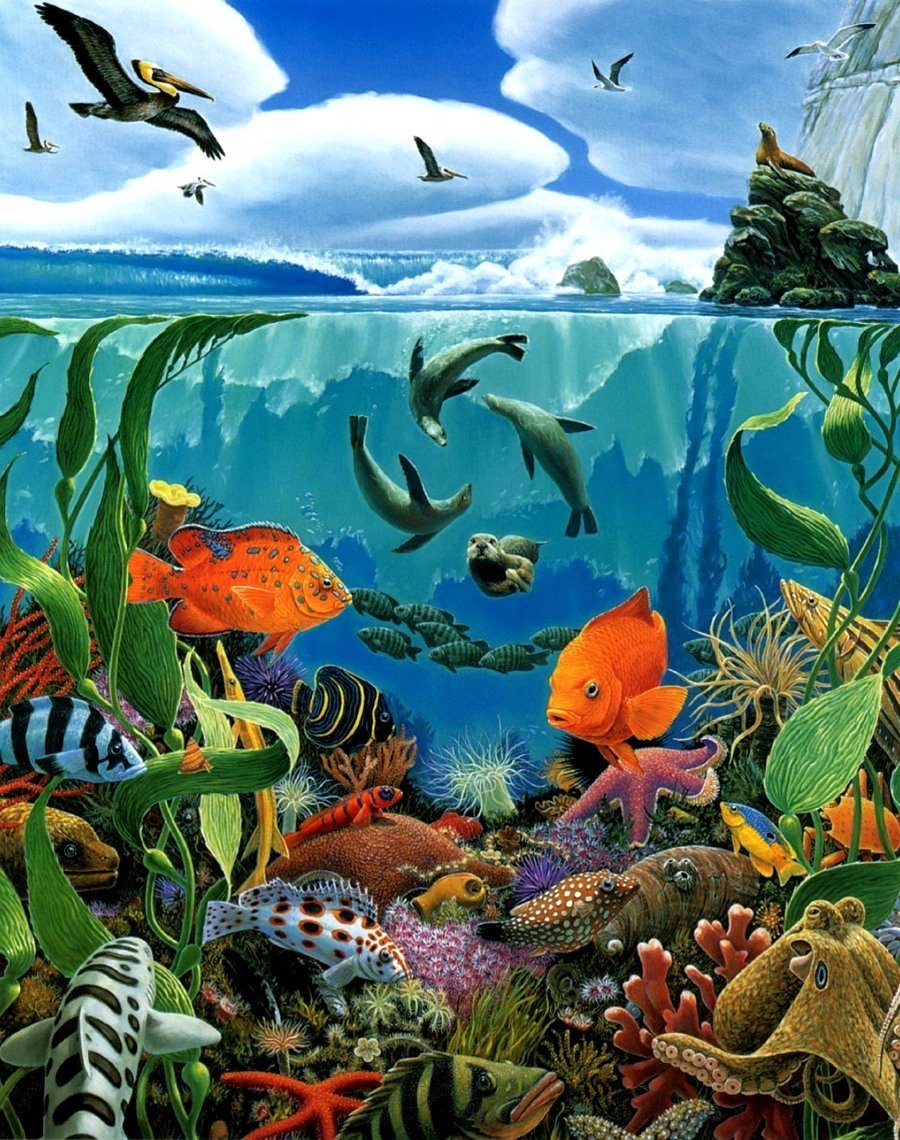 Картина подводный мир