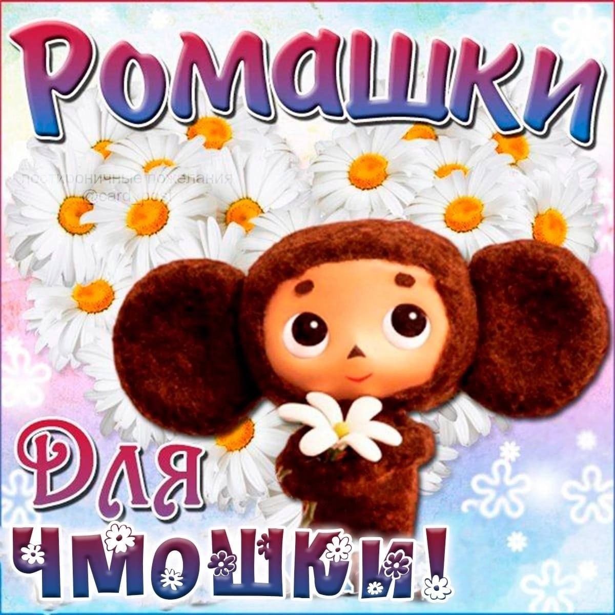 Летние пожелания