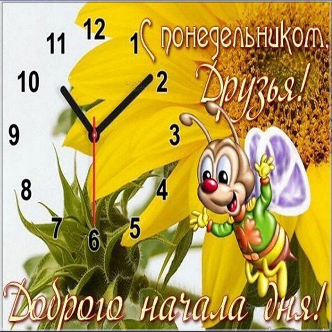 Открытки с добрым утром понедельника