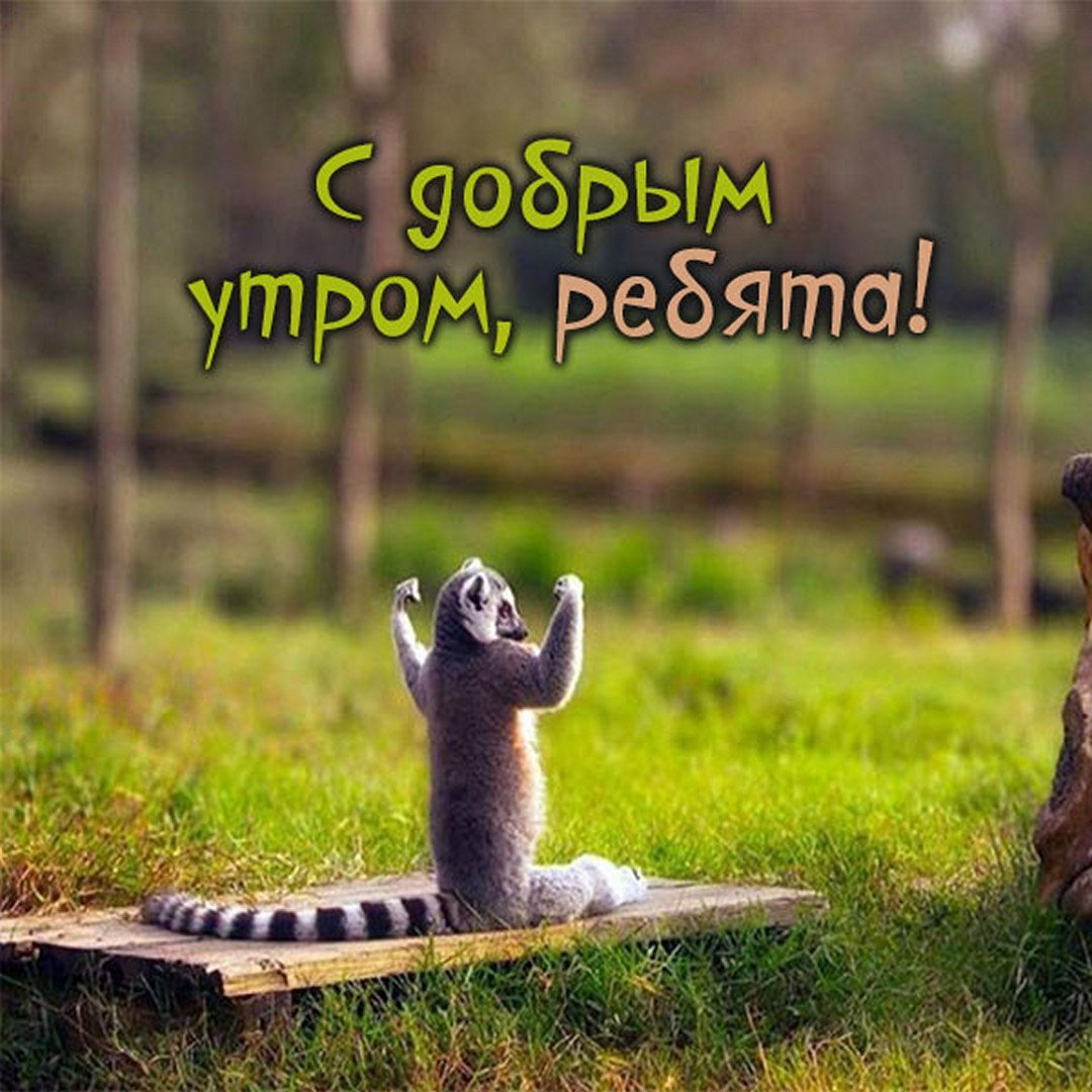 С добрым утром понедельника