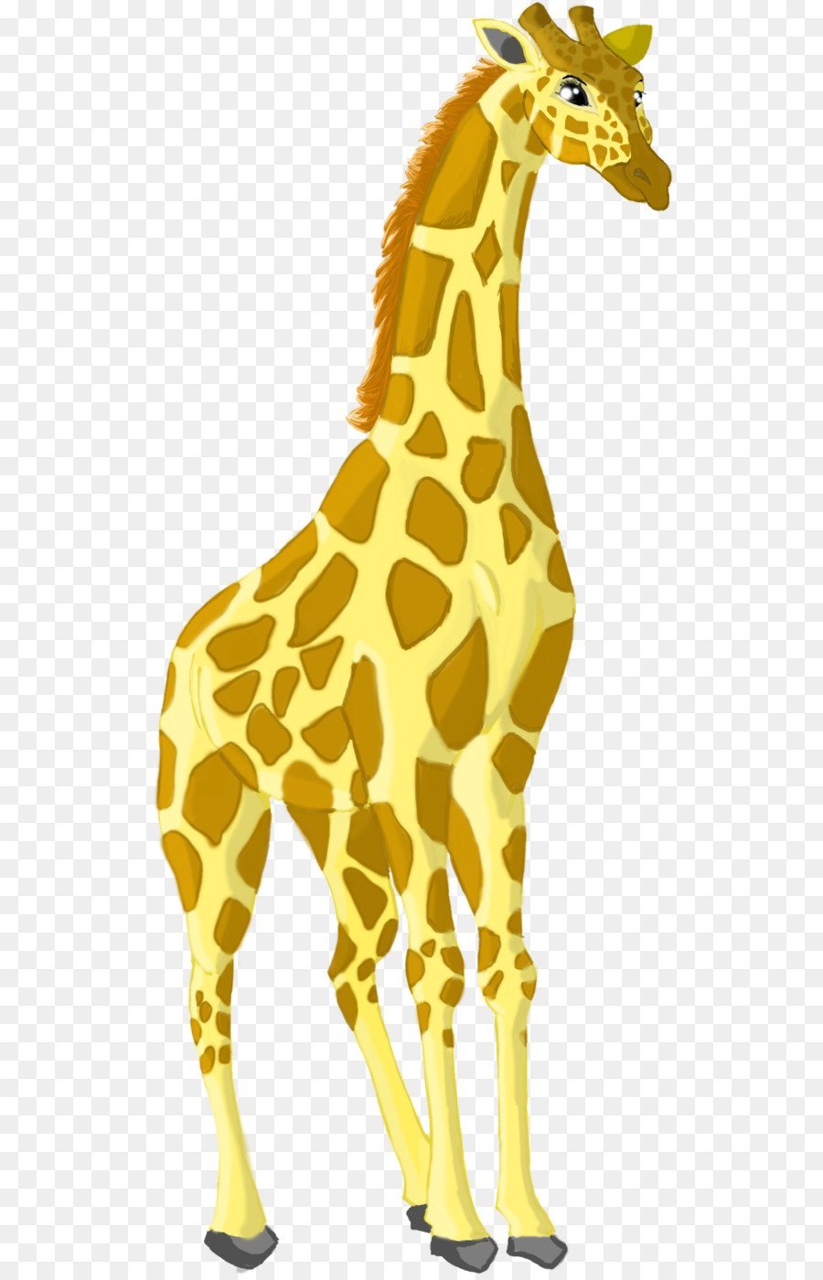 Жирафы на прозрачном фоне