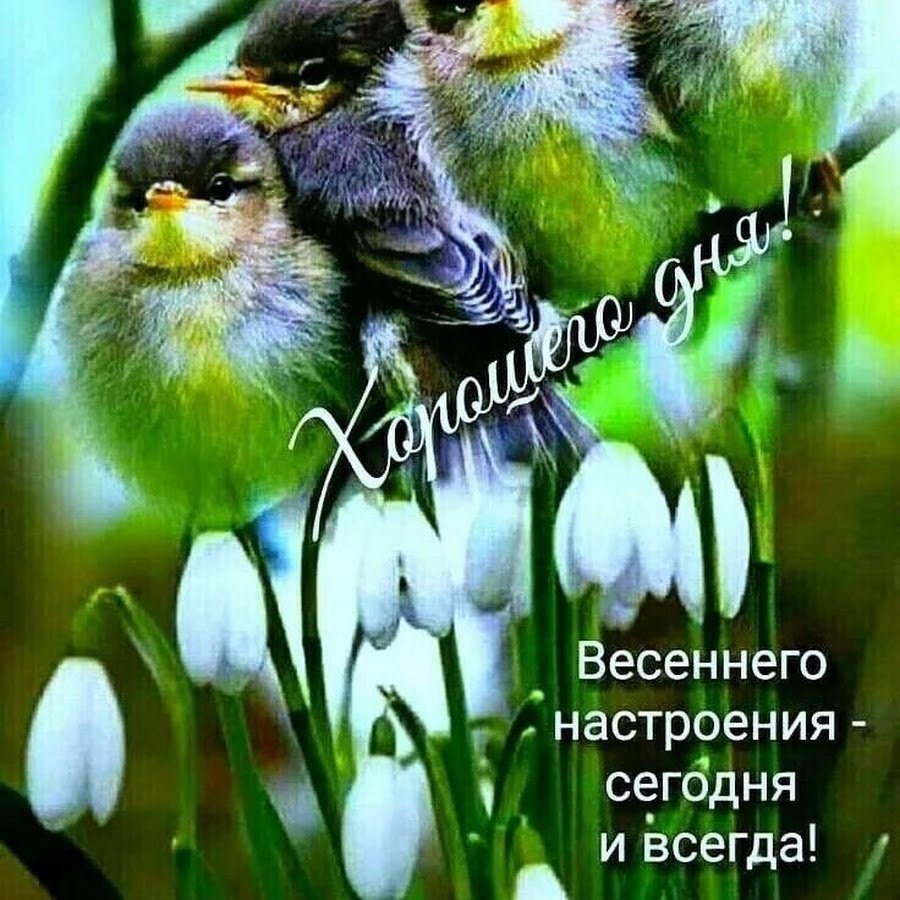 Позитивные открытки