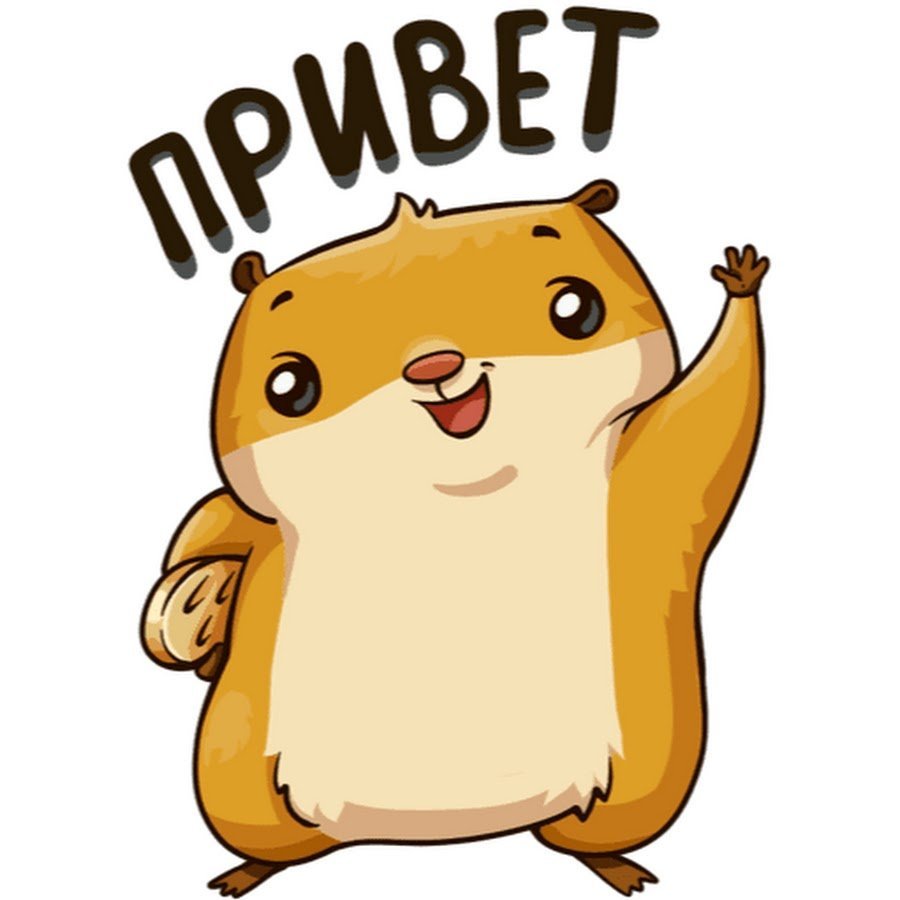 Стикеры ВК хомяк