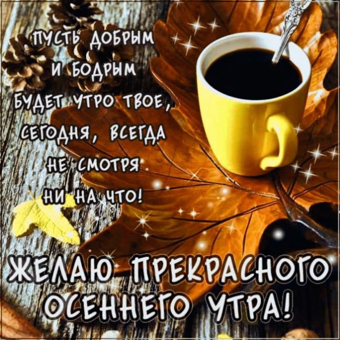 Красивые афоризмы с добрым утром