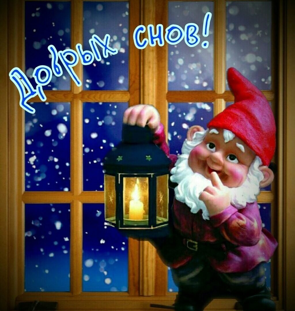 Спокойной ночи любимая группа