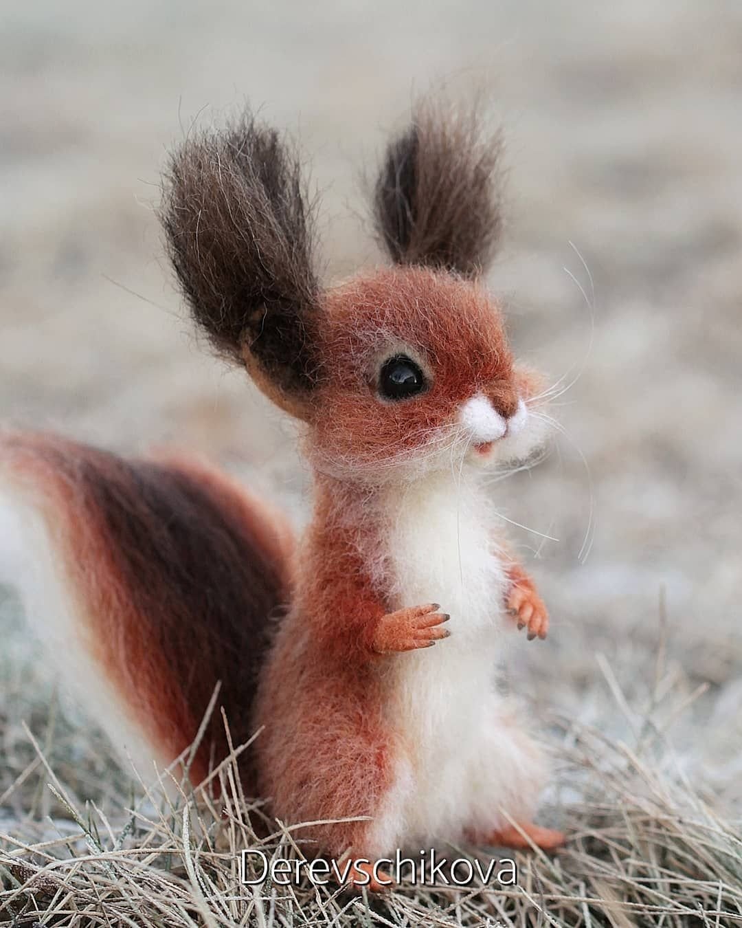 Белка в лесу