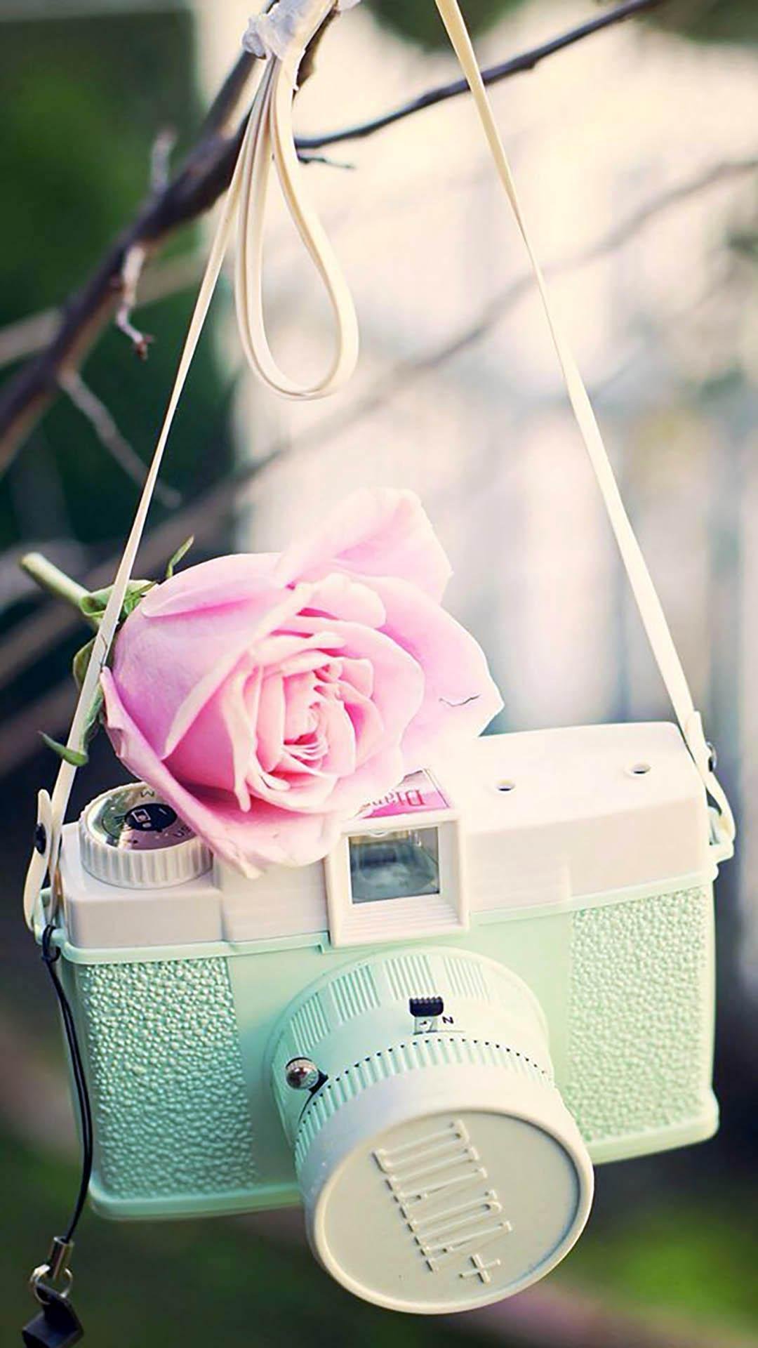 Мультяшна ариана Гранде