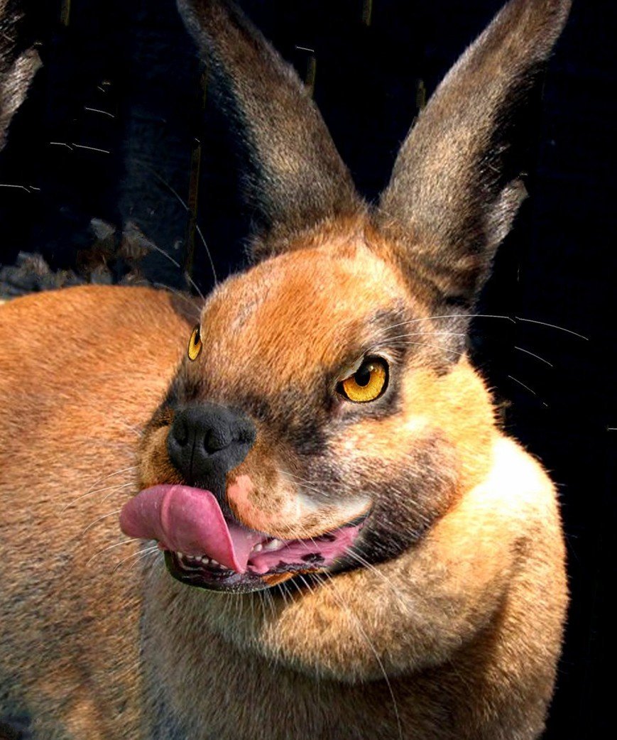 Злой кролик