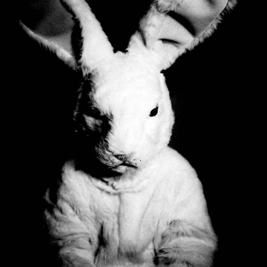 Злобный кролик